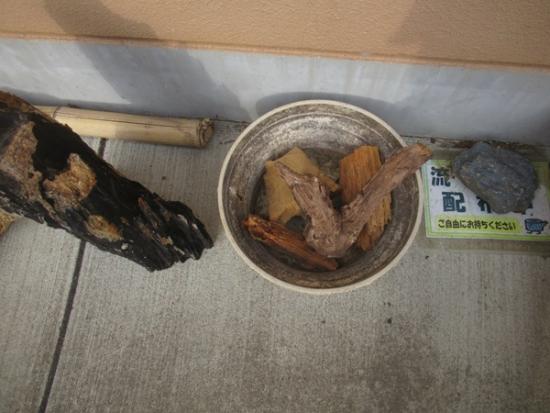 令和8年3月12日の流木3