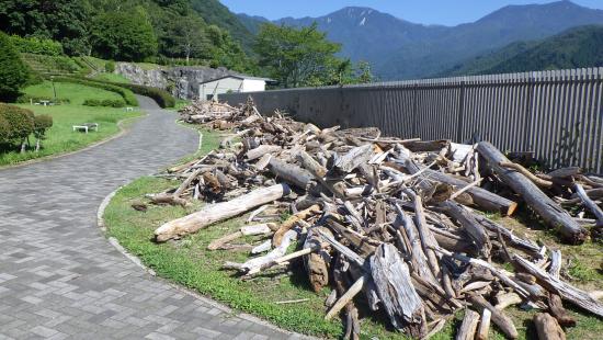 流木写真1（250819）