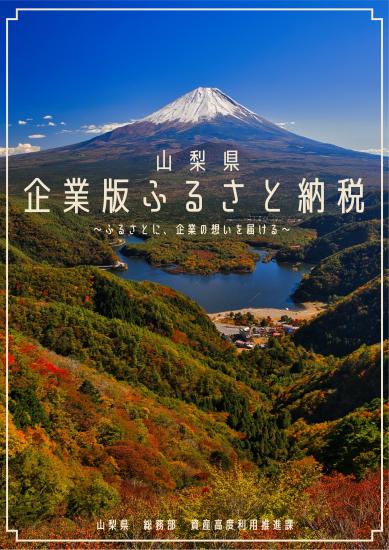 企業版パンフレット