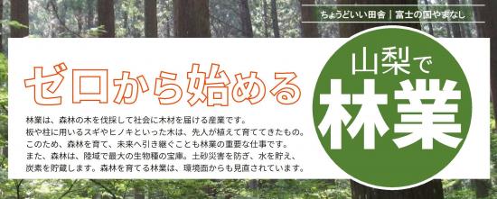 ringyo_shugyo_gaido202603