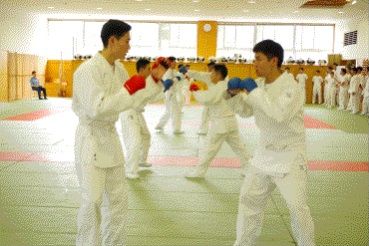 ひよっこ　逮捕術2