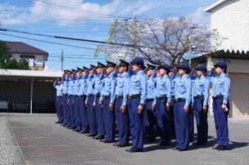 ひよっこ　短期卒業③