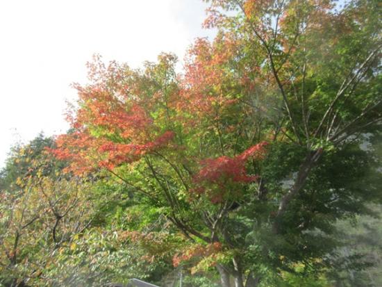 令和6年10月22日の深城ダム周辺