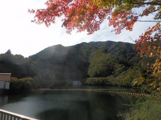 令和6年10月31日の深城ダム2