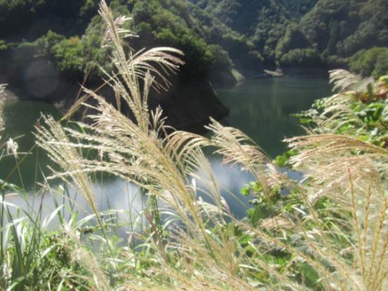 令和7年10月8日の深城ダム1