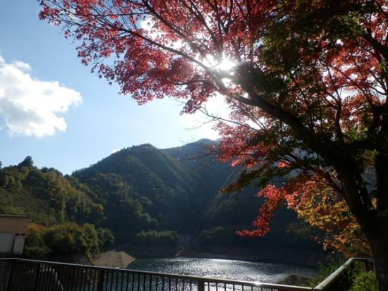 令和7年10月30日の深城ダム2