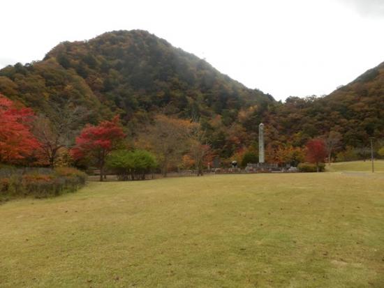 令和7年11月6日の小金沢公園