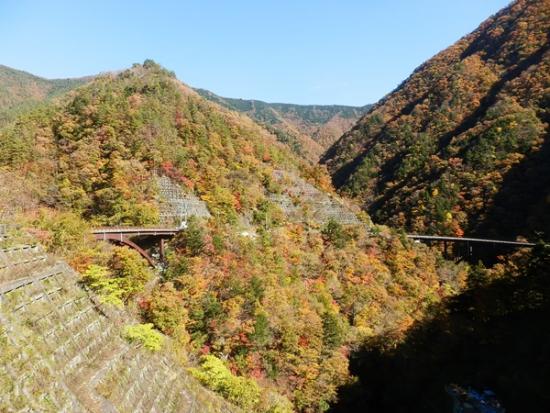 令和7年11月14日の紅葉5