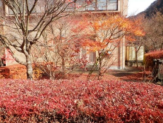 令和7年11月27日の深城ダム2