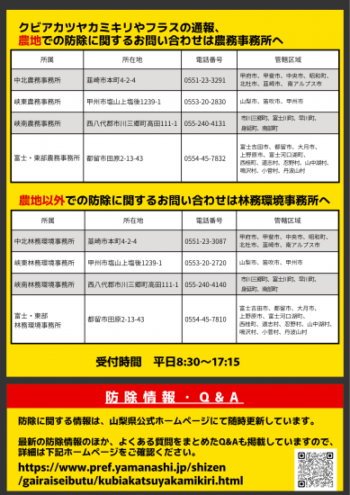 チラシ裏